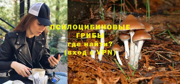 ГАЛЛЮЦИНОГЕННЫЕ ГРИБЫ Балабаново